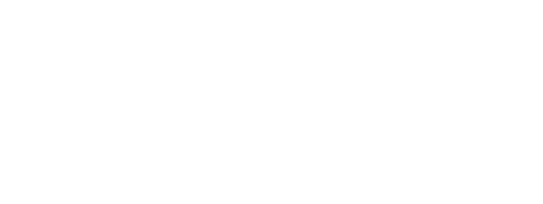 Nexgen Auto Inc 